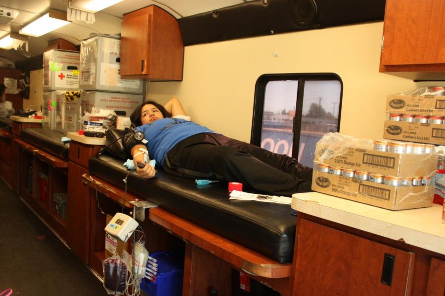 Carolina Cuevas, child development major, donating for the first time. Cerritos College students donated blood on Jan. 29-Feb. 1.