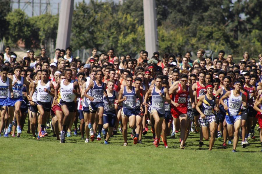The+Cerritos+College+mens+cross+country+team+brought+in+259+team+points+by+the+end+of+the+race.+The+Falcons+came+in+eighth+place+in+the+Southern+California+Preview+meet+against+27+other+community+colleges+on+Sept.+14+at+Don+Knabe+Community+Regional+Park.