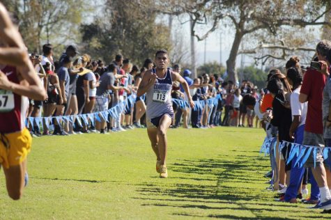 Freshman Pablo Calderon eyeing the finish line, Calderon led the Falcons to a 10th place finish in the SoCal Championships at Don Knabe Community Regional Park on Nov. 2, 2018.