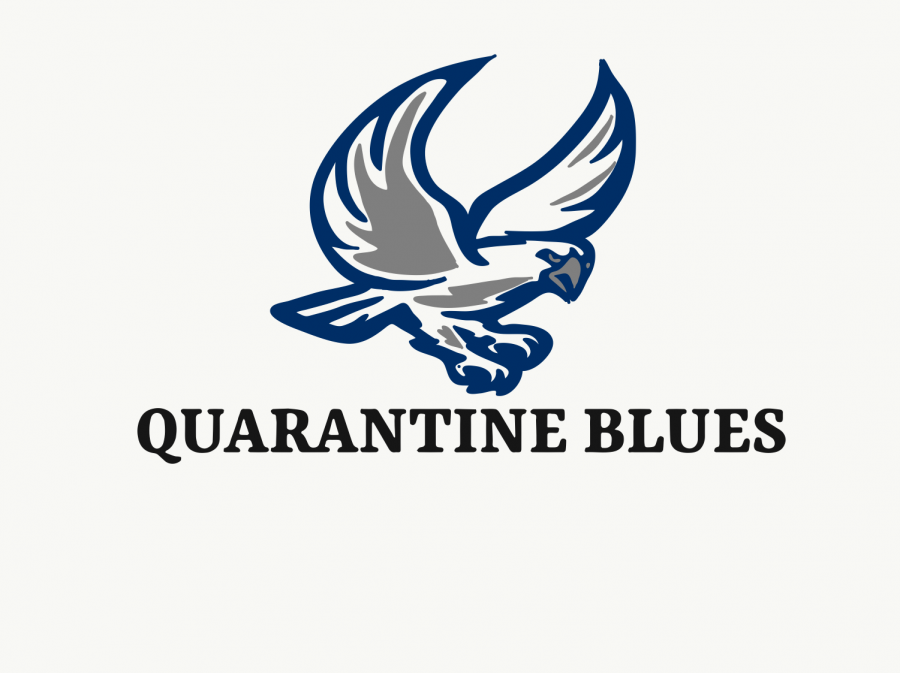 Quarantine Blues is a column dedicated to sports stories and updates from various Falcon Athletes. Stories are published weekly on Saturdays. 
