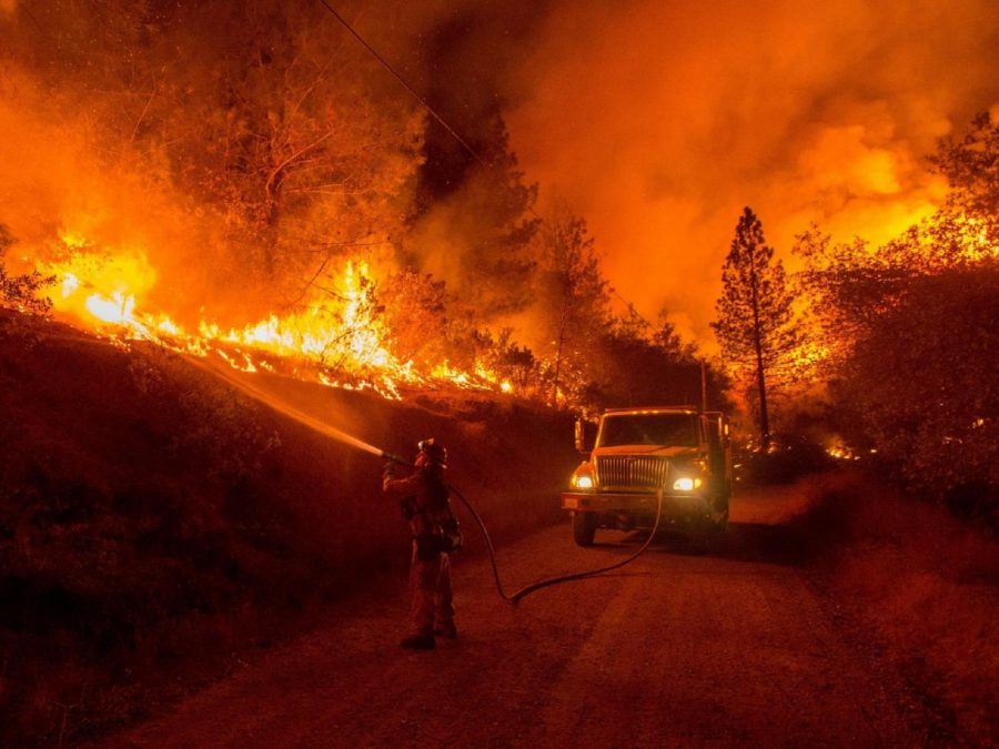 A lone firefighter battles a raging inferno. As of Sept. 11, over 3000 homes have been lost, with billions in damages. 