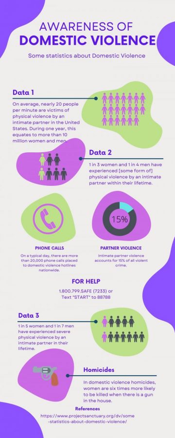 Domestic Violence Awareness Infographic showing how many men and women have experienced domestic violence and information about homicides within this violence.