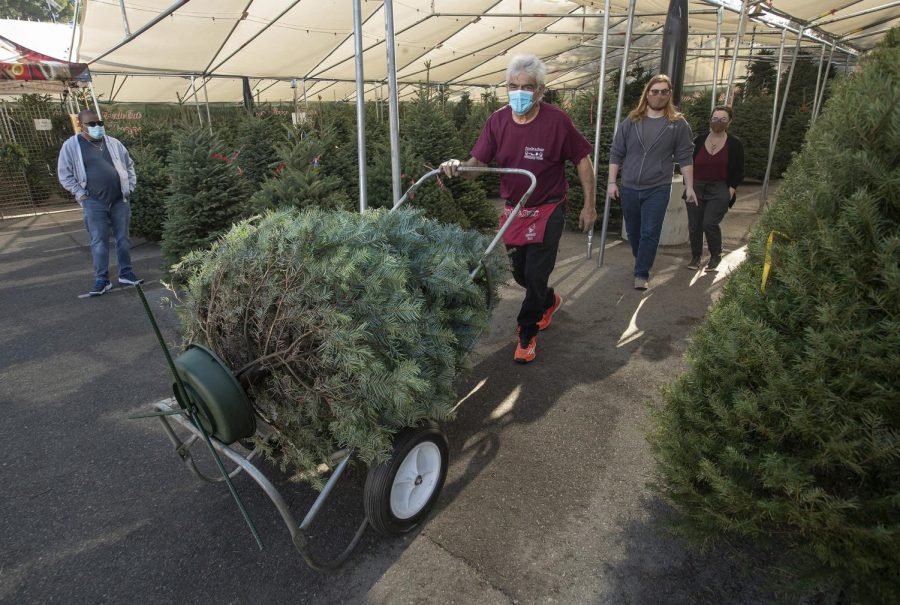 Charles Ellis helps customers Stephen Clark and Melissa Enright of Valley Glen with a Christmas tree they picked out while shopping at Santa & Sons Christmas Trees in Los Angeles' Sherman Oaks neighborhood. (Mel Melcon/Los Angeles Times/TNS)
