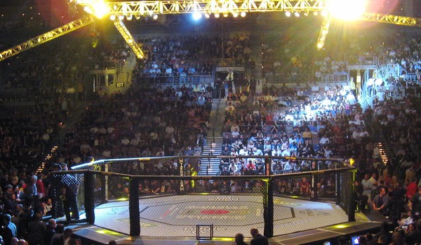 This was the UFC 67 event that was held in Las Vegas, Nevada and the image was taken by lajz. The seats are packed and the fans are desperately waiting for the fight to start.