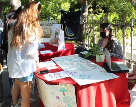 A student-led booth in coordination with the Citizens' Climate Lobby, where people were able to draw on a banner.