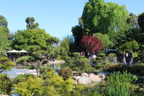 CSULB's Earl Burns Miller Japanese Garden has been sustained for more than 30 years. On April 21st, it hosted the Green Generation showcase.