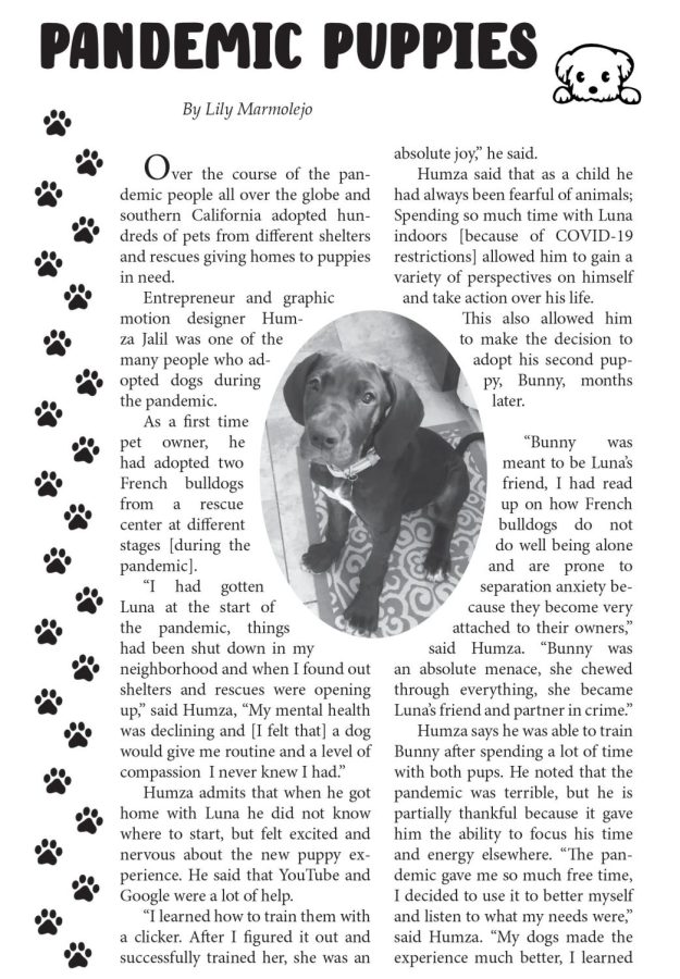 Wings Zine Page - Pandemic Puppies