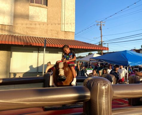 Mechanical Bull