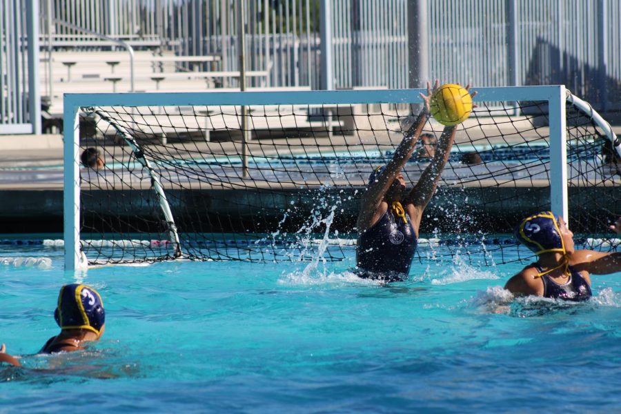 The+Falcons+water+polo+team+wins+a+tough+battle+against+Chaffey+on+Sept.+21+and+the+final+score+is+10-8.