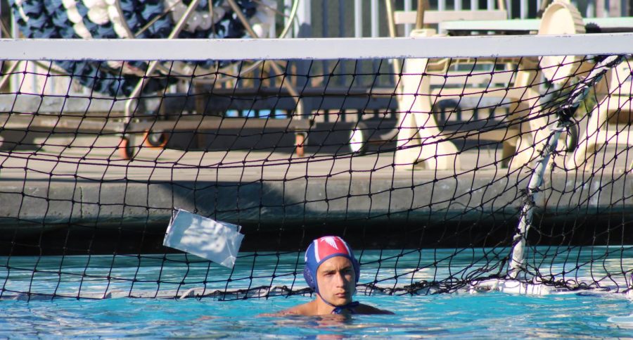 Cerritos+Water+Polo+crushed+the+scoreboard+in+back-to-back+games+and+their+19-7+win+against+Chaffey+isnt+any+different.