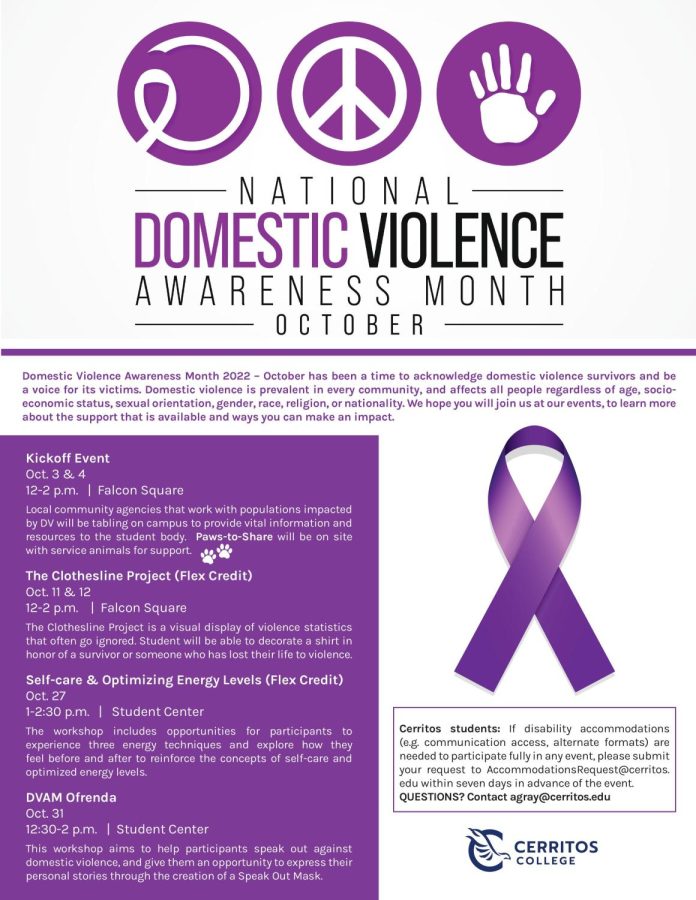 Domestic Violence Awareness Flyer