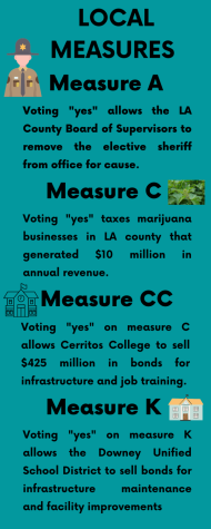 Local Measures infographic