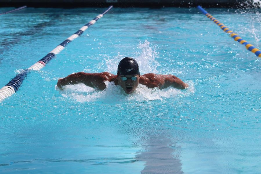 Heres one of the Falcons swimming as quick as they can to secure the victory for Cerritos on March 31. 