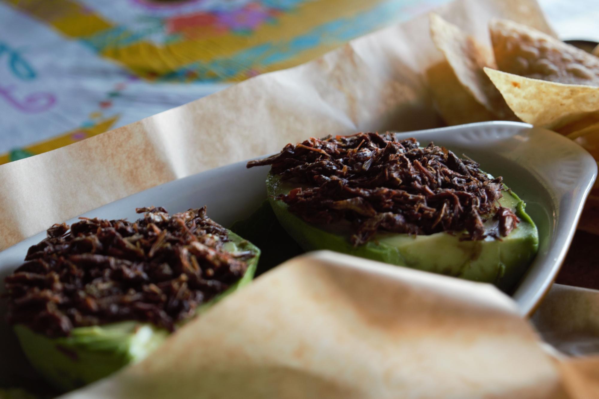 The chapulines champions is served on a fresh avocado. It also comes with a side of corn chips. 
