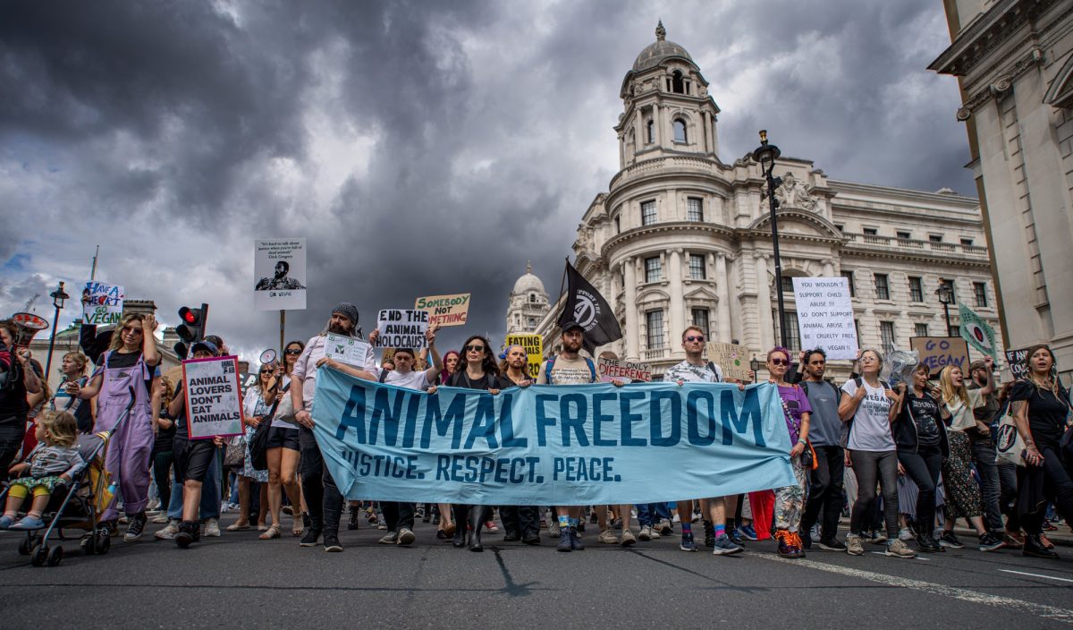 Vegans rally in support of animals rights in the United Kingdom. 