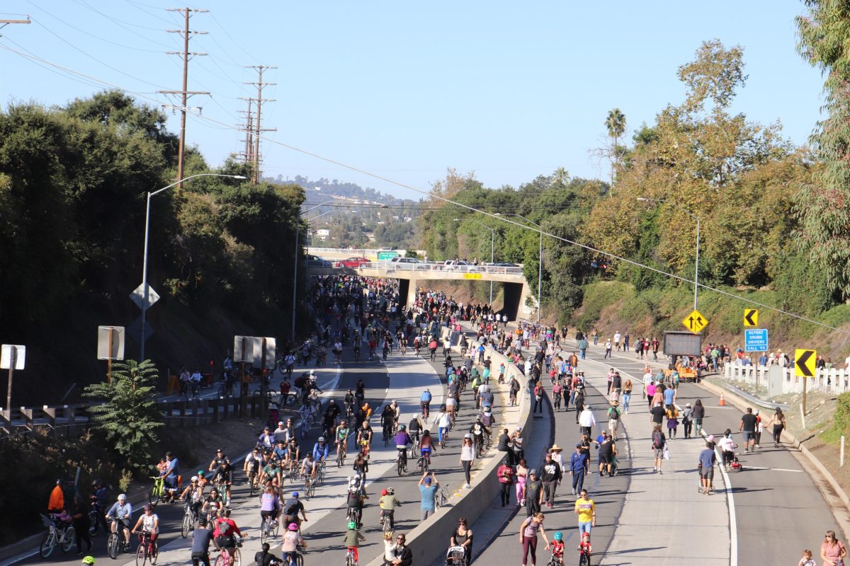 Hundreds of bike riders on the 110 freeway participate in Arroyofest.