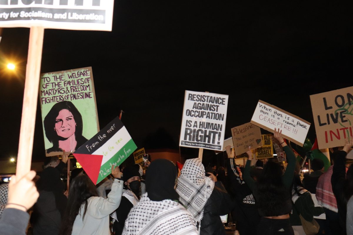 People holding up signs and waving flags to show support for Palestine.