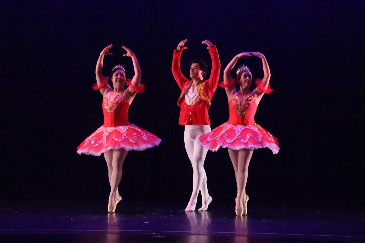 Ballet dancers in releve form