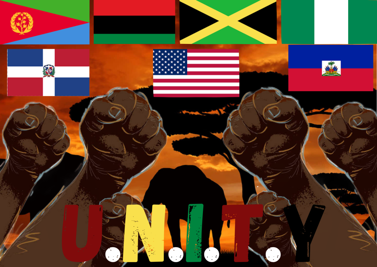 Different flags of the African Diaspora with fists raised in solidarity Photo credit: Ifeoma Utom