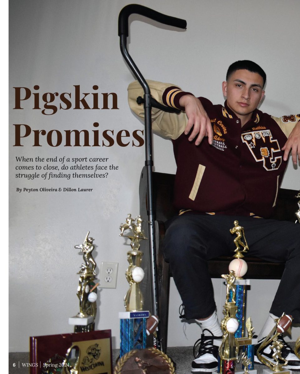 Cover image for Pigskin Promises