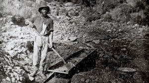 Enslaved African- American mining for gold during the 1850s California gold rush. Photo credit: Image from www.libertarianism.org