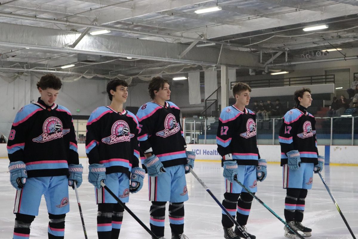 The hockey team that called Long Beach home for 11 years.