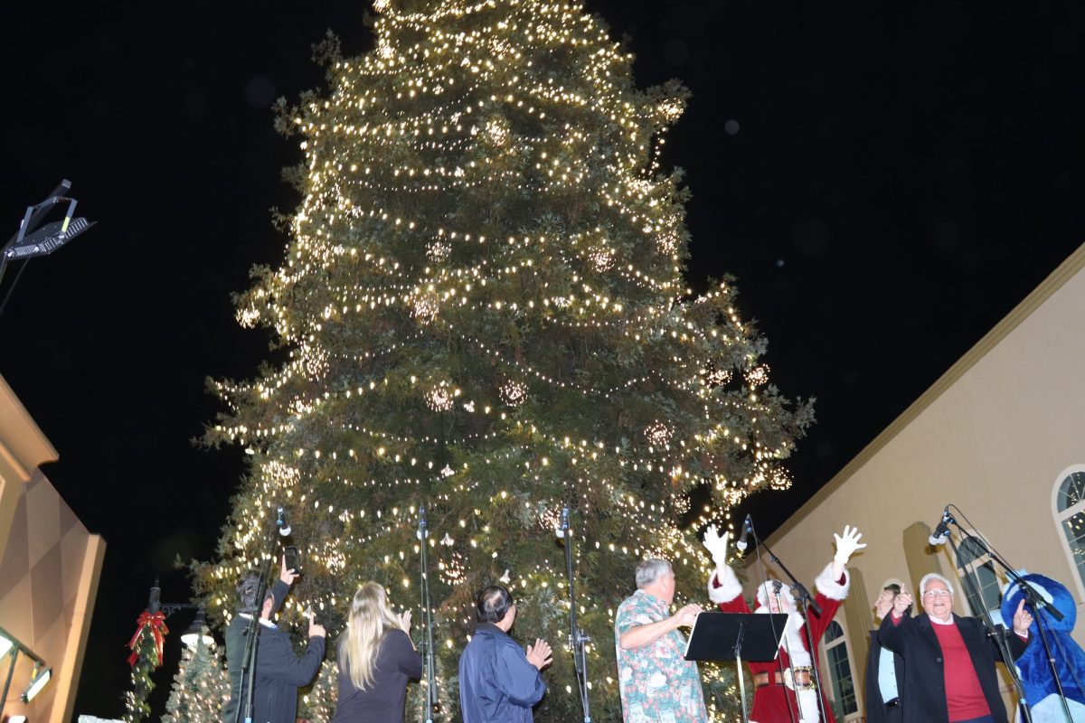 Bellflower Mayor Ray Dunton, city council members, and Santa Claus celebrate the lighting of the community Christmas tree, officially kicking off the holiday season. 