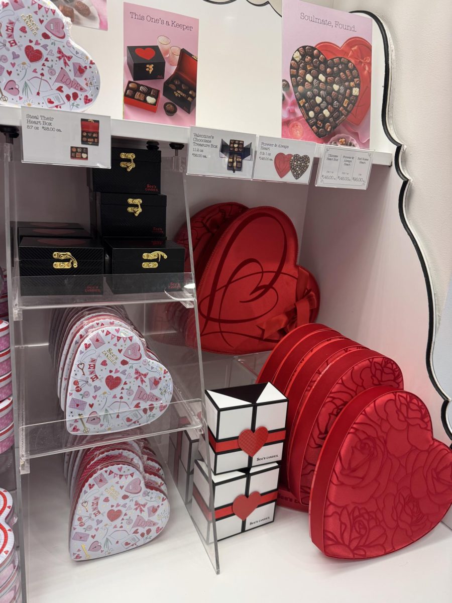 Different modifications with specific boxes such as boxes with locks, and once opened it presents the chocolates. Big or small, different sizes for the perfect customer. 